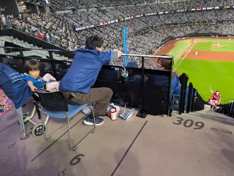 プロ野球観戦 北海道日本ハムファイターズ01