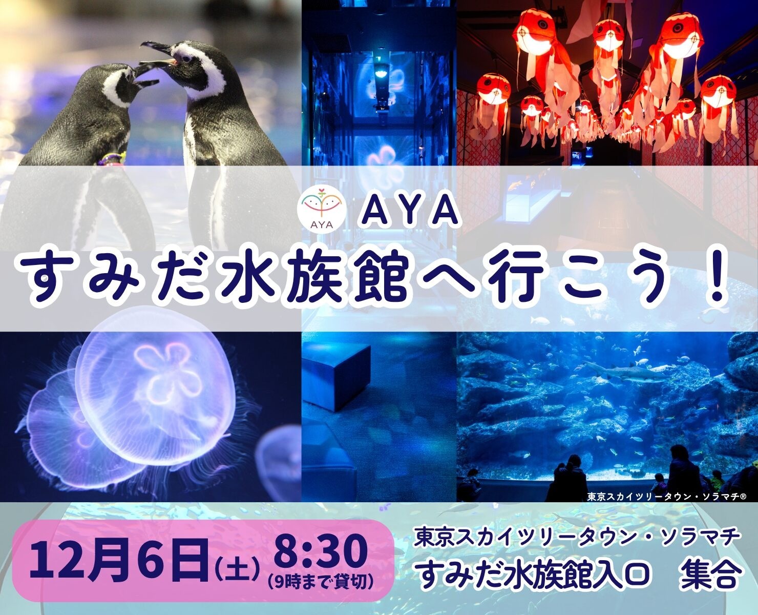 AYA すみだ水族館へ行こう！
