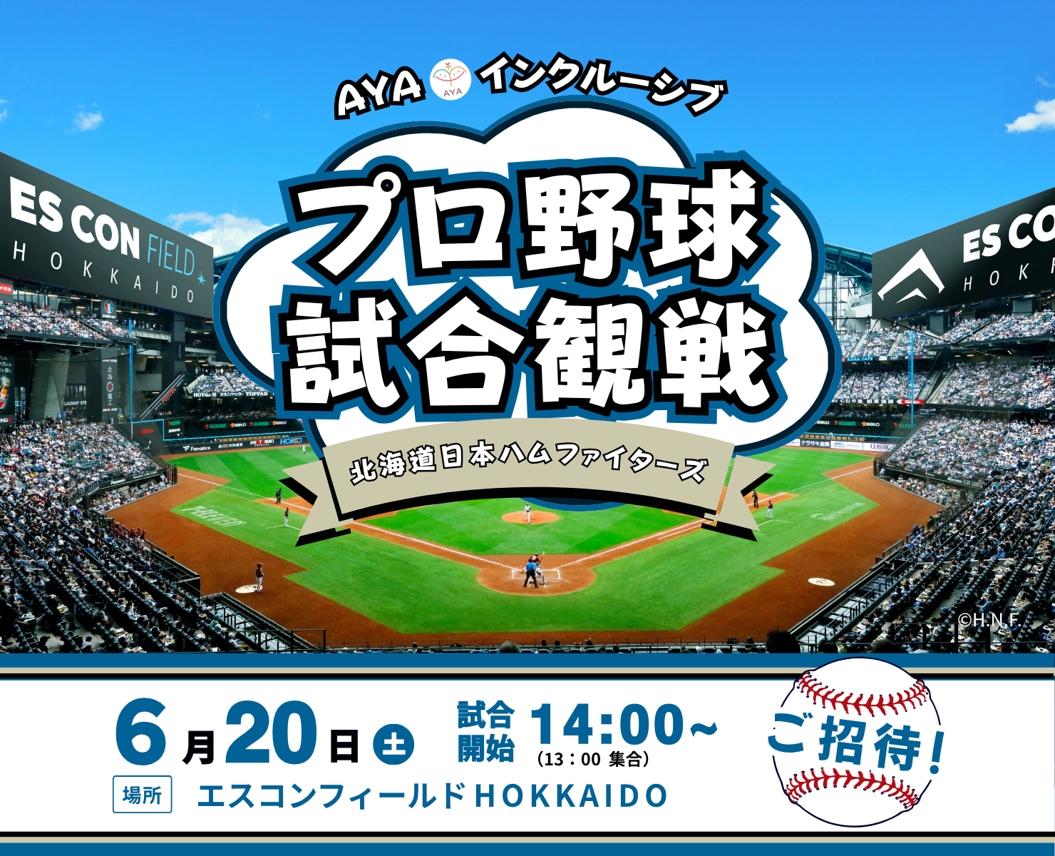 プロ野球観戦　北海道日本ハムファイターズ（vs 福岡ソフトバンクホークス）