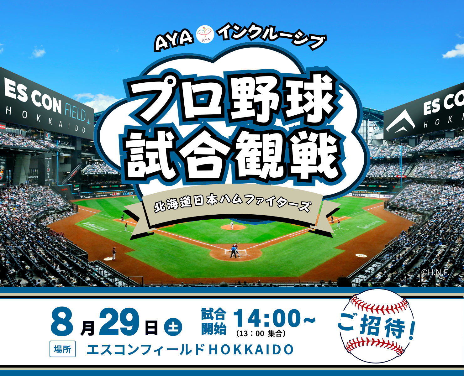 プロ野球観戦　北海道日本ハムファイターズ（vs 千葉ロッテマリーンズ）