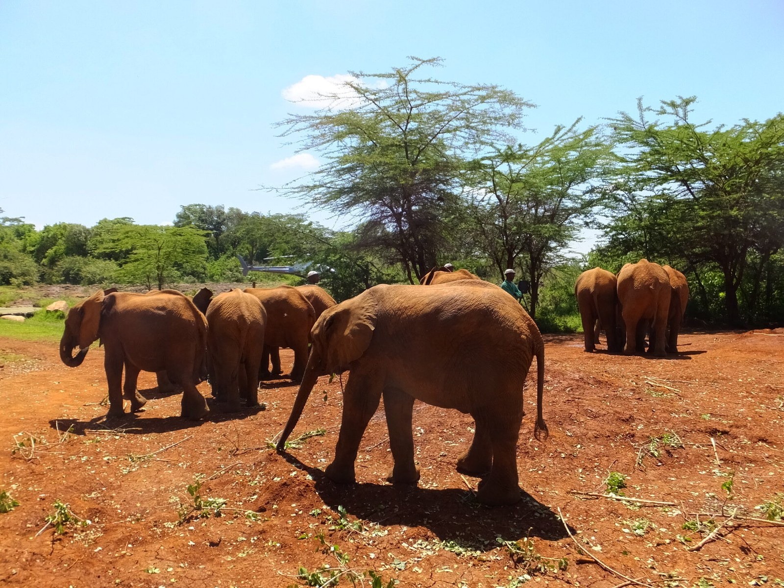 象の孤児院体験会 in Kenya（オンライン）