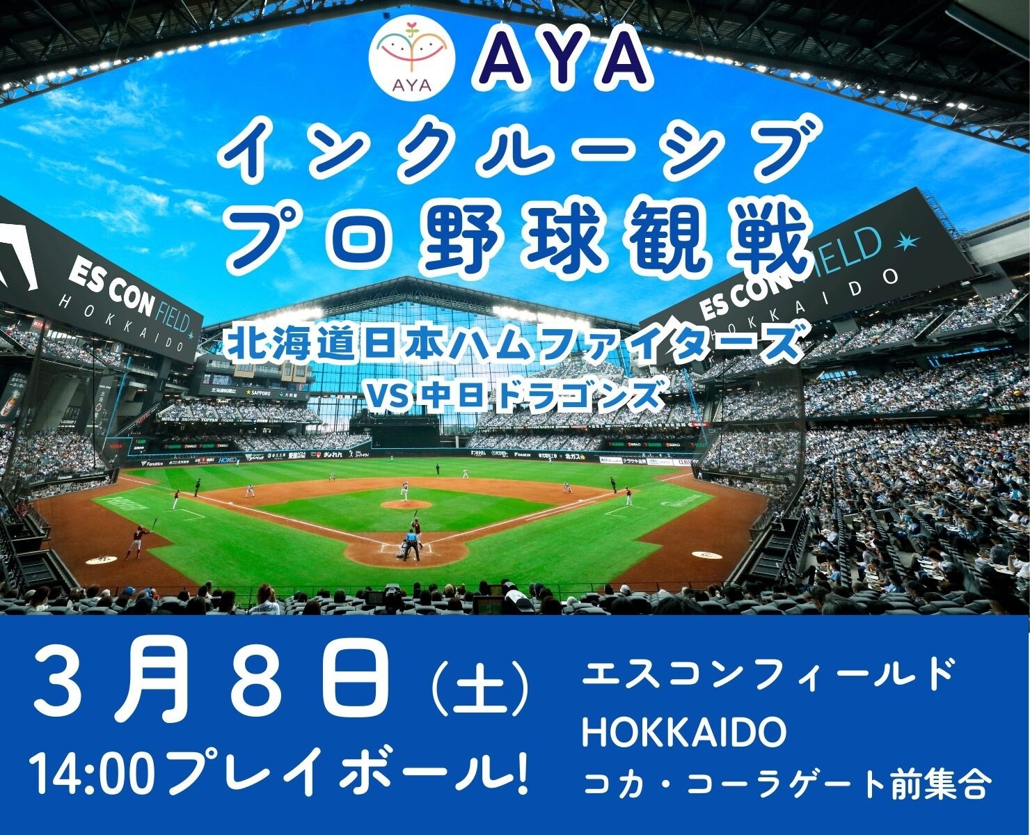 プロ野球観戦 北海道日本ハムファイターズ（vs 中日ドラゴンズ）