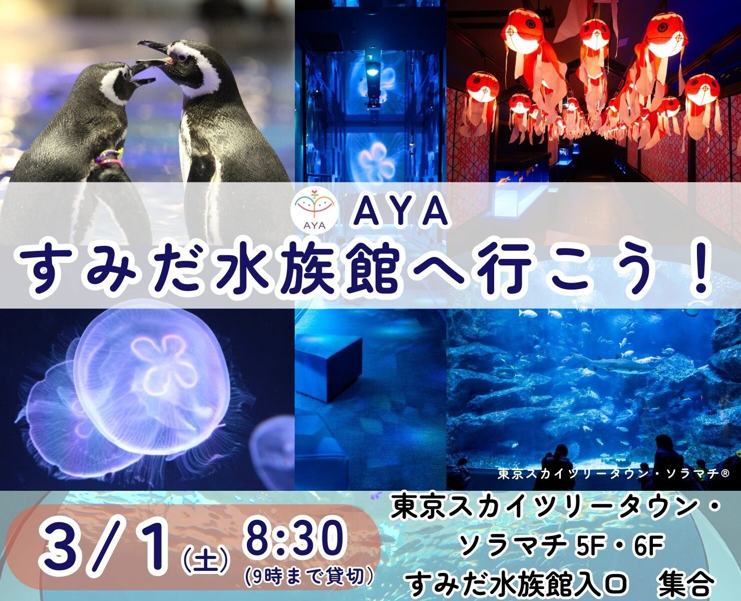 AYA すみだ水族館へ行こう！